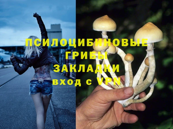 спиды Михайлов