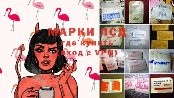 спиды Михайлов